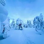 Alpehytte Riekonsoppi, Two Bedroom Private Pyhätunturi