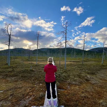 Riekonsoppi, Two Bedroom Private Chalet Pyhatunturi