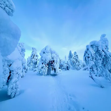 샬레 Riekonsoppi, Two Bedroom Private 파이하튠튜리