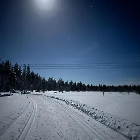 Riekonsoppi, Two Bedroom Private Chalet