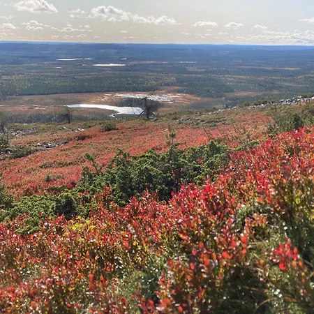 Riekonsoppi, Two Bedroom Private Chalet