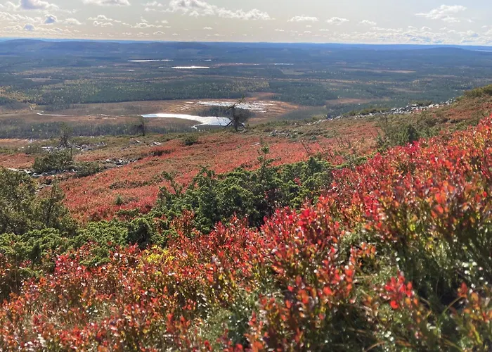 Riekonsoppi, Two Bedroom Private Chalet